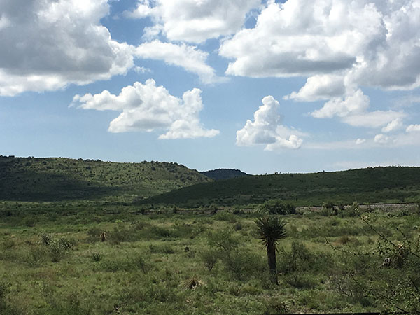 Alpine Texas