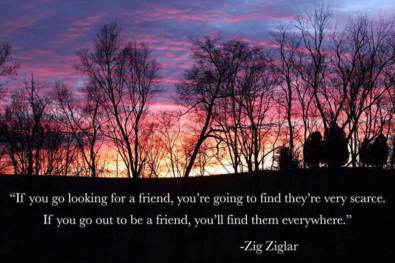 Zig Ziglar Quote